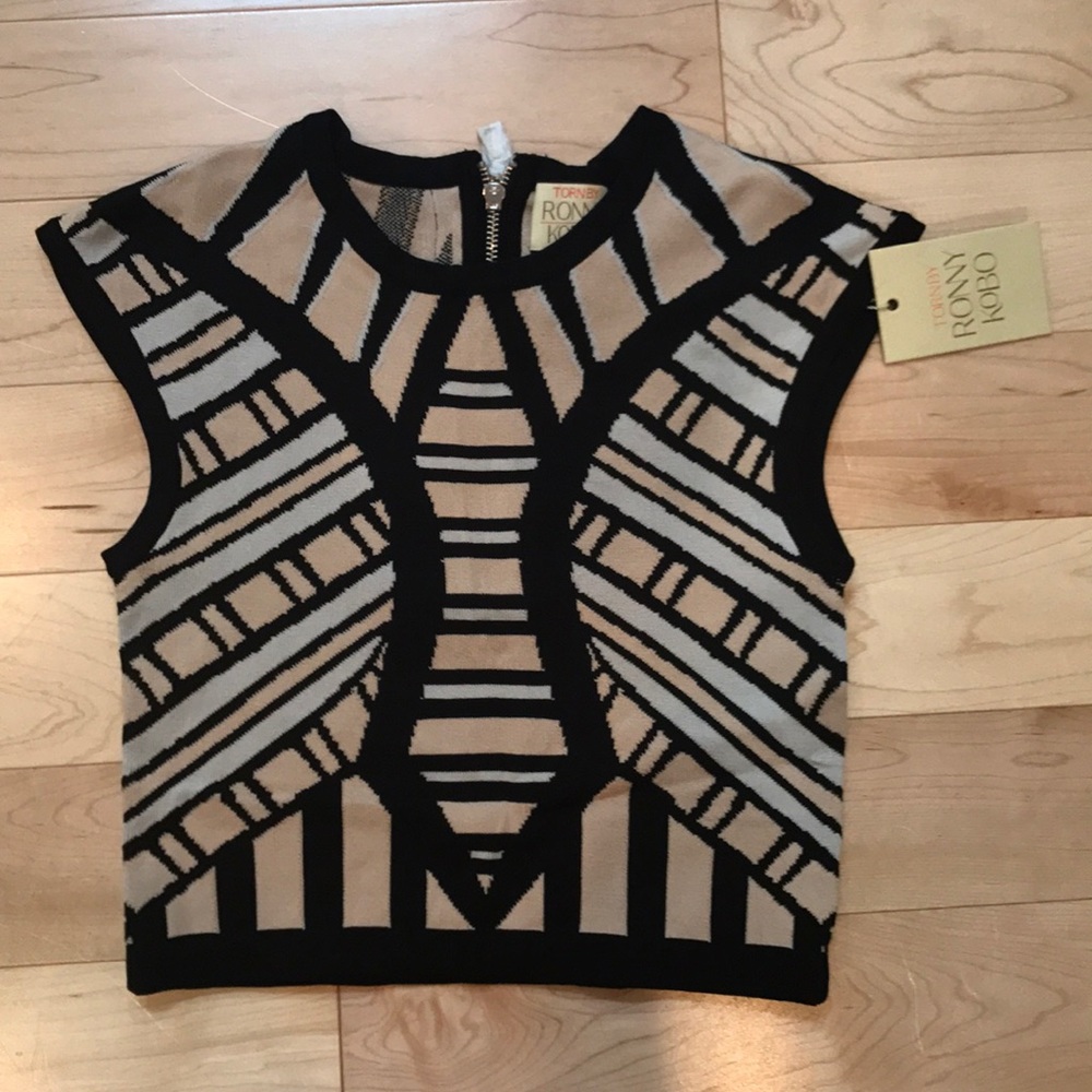 TORN by Ronny Kobo crop top